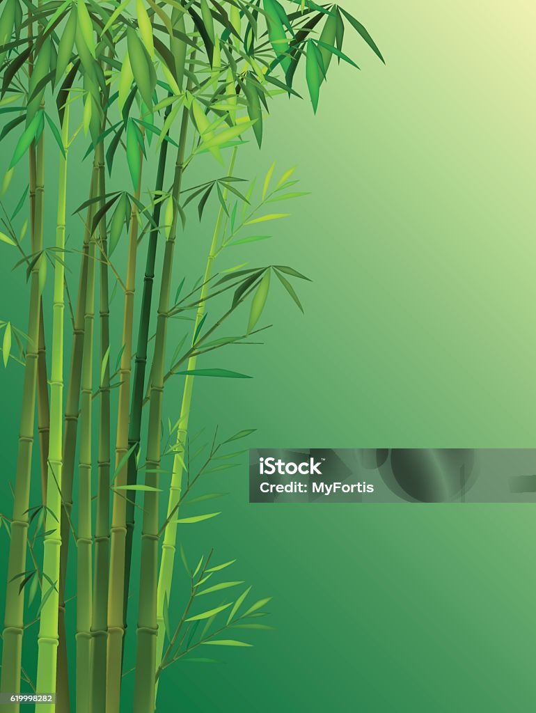 Bamboo with green background Vector Illustration : Bamboo with green background Bamboo - Plant stock vector