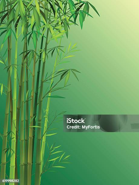 Bamboo With Green Background Stock Illustration - Download Image Now - Bamboo - Plant, Asia, Backgrounds