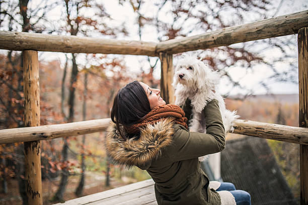 Woman with her pet dog Young woman holding and playing with her pet dog outdoors on a beautiful autumn day. beautiful multi colored tranquil scene enjoyment stock pictures, royalty-free photos & images