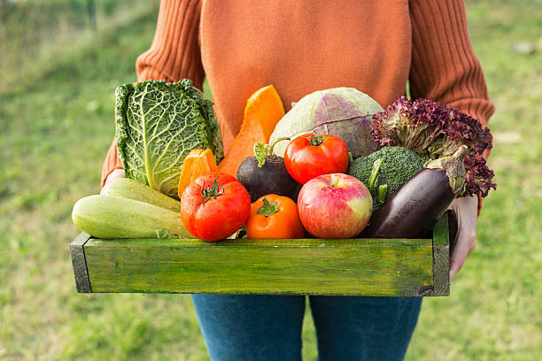 caja de retención del agricultor con verduras orgánicas frescas - radish vegetable farmers market gardening fotografías e imágenes de stock
