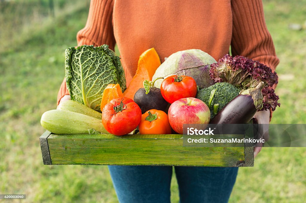 agricultor segurando caixa com vegetais orgânicos frescos - Foto de stock de Legume royalty-free