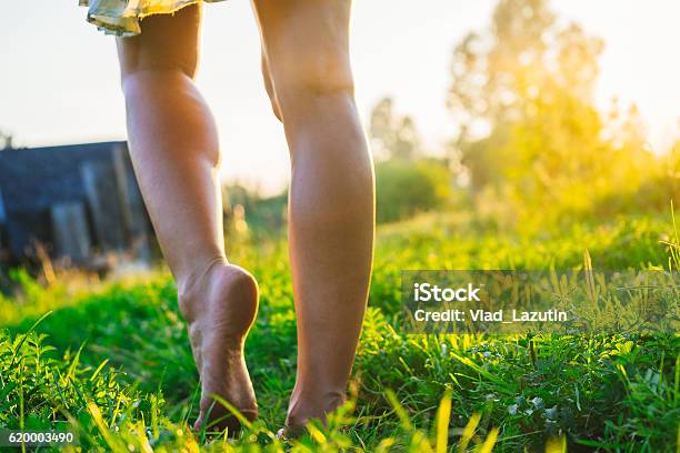 Weibliche Beine Barfuß Zu Fuß Auf Dem Gras Stockfoto und mehr Bilder von Barfuß - Barfuß, Gras, Frauen