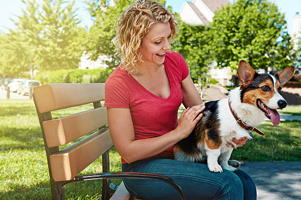 istock Pet parents are parents too 620006418