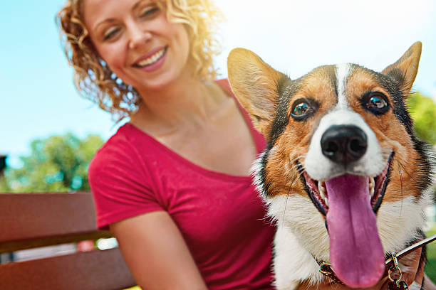 istock The days are brighter with dogs in them 620006600