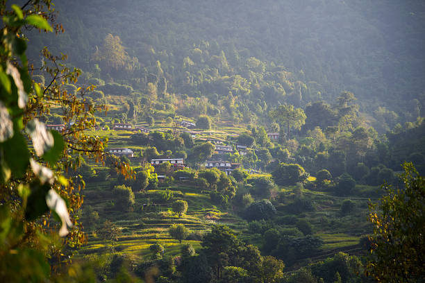 istock Rice terraces in Annapurna conservation area, Nepal. 620007246
