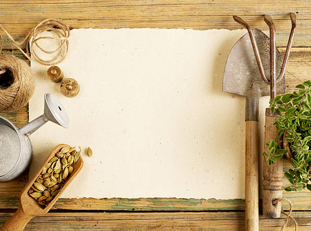istock Plants, gardening tools and blank paper 620007284