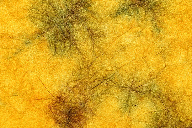 istock Japanese natural color paper texture background 620007332