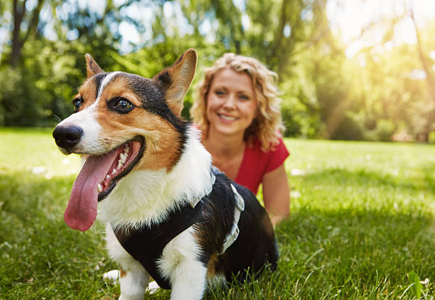 Shot of a young woman bonding with her dog in the park