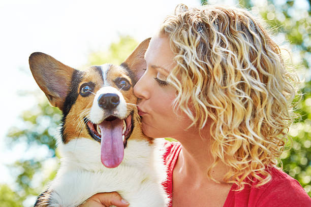 istock Heartwarming moments with my human 620008108