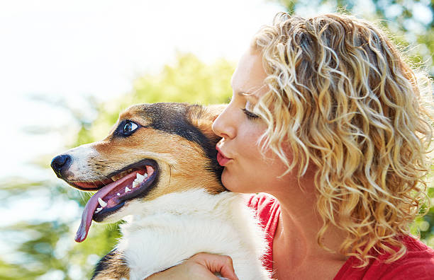 istock Building a strong bond with her fur baby 620008260