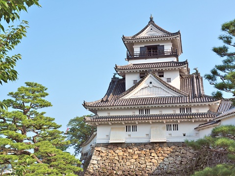 Kochi, Japan - July 19, 2016: Kochi castle on the hill in Kochi Prefecture located on the island of Shikoku in Japan.