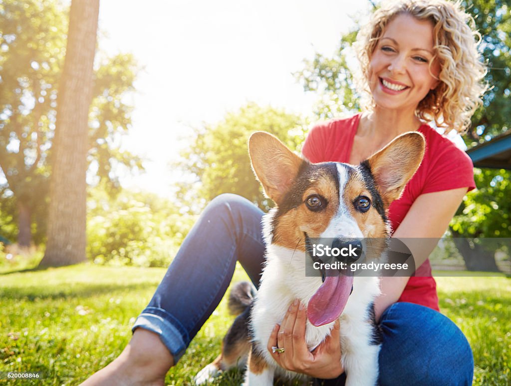 She loves him as much as he loves her Shot of a young woman bonding with her dog in the park Dog Stock Photo