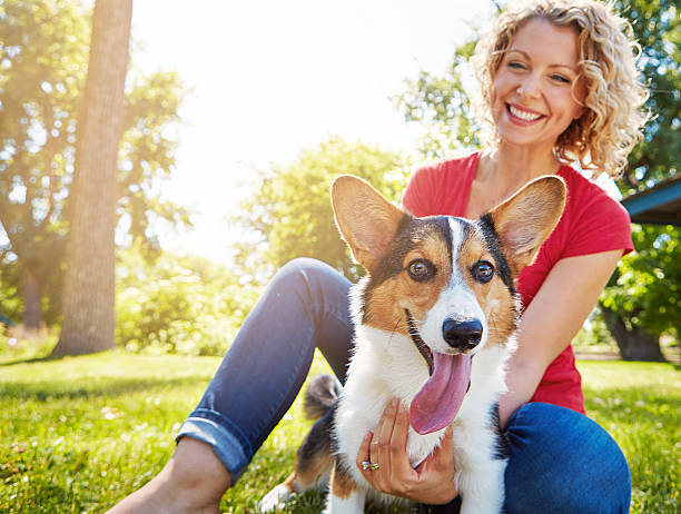 She loves him as much as he loves her Shot of a young woman bonding with her dog in the park lady dog stock pictures, royalty-free photos & images
