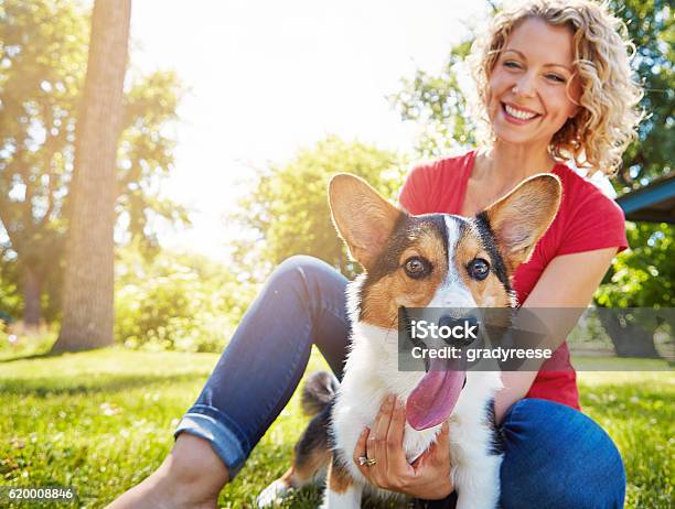 She Loves Him As Much As He Loves Her Stock Photo - Download Image Now - Dog, Women, One Woman Only