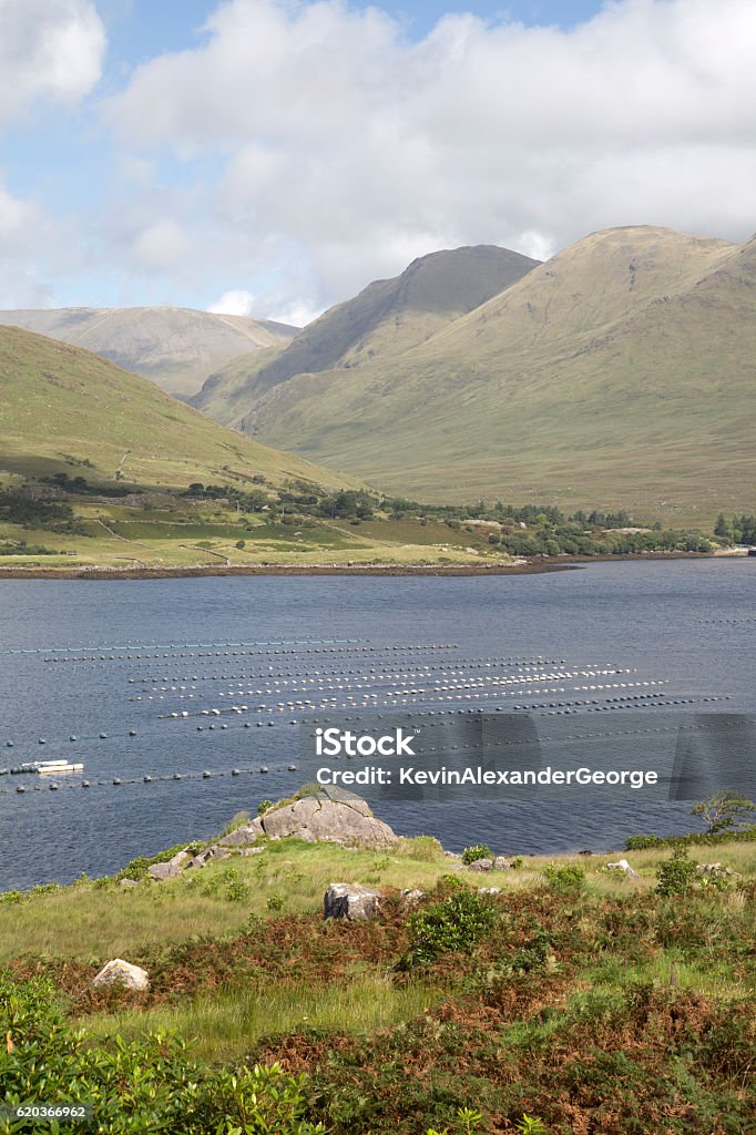 Killary Fjord Lake; Leenane, Connemara; Galway - Royalty-free Ao Ar Livre Foto de stock