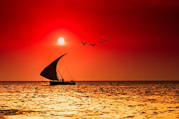 silhouettes of a sailboat and seagulls while a beautiful sunset
