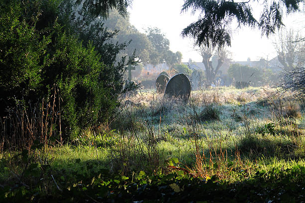 istock Surreal Emptiness At The Cemetery 620373368