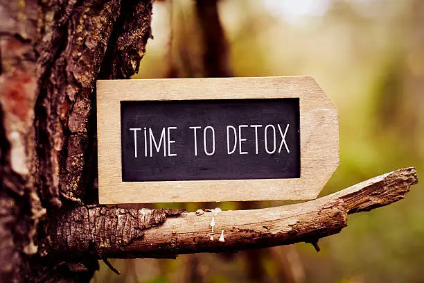 closeup of a label-shaped chalkboard with the text time to detox written in it, placed on the branch of a pine tree
