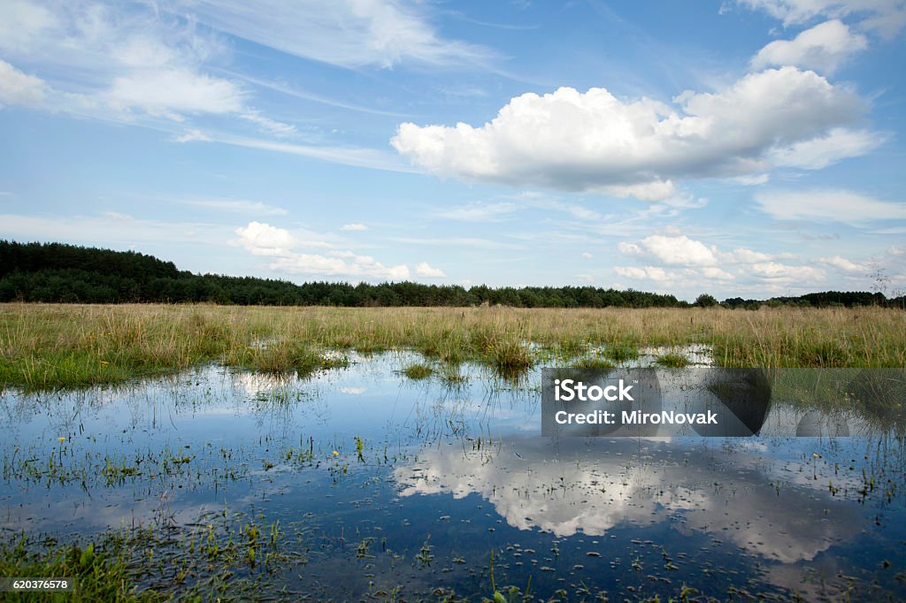 Piscina no Prado - Royalty-free Ao Ar Livre Foto de stock