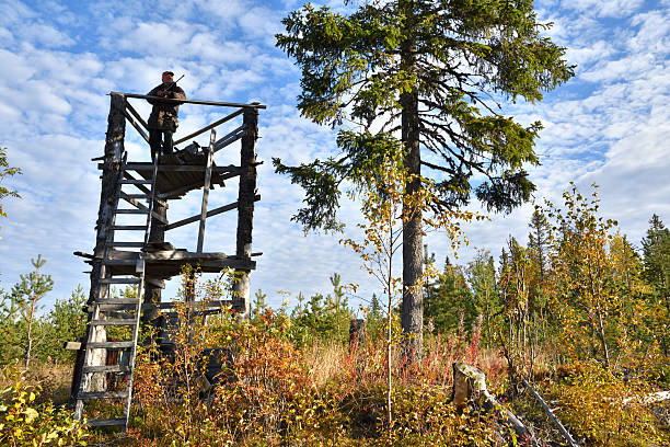 Moose hunter from front side standing in a hunting tower holding his rifle with blue sky in background, picture from the North of Sweden.