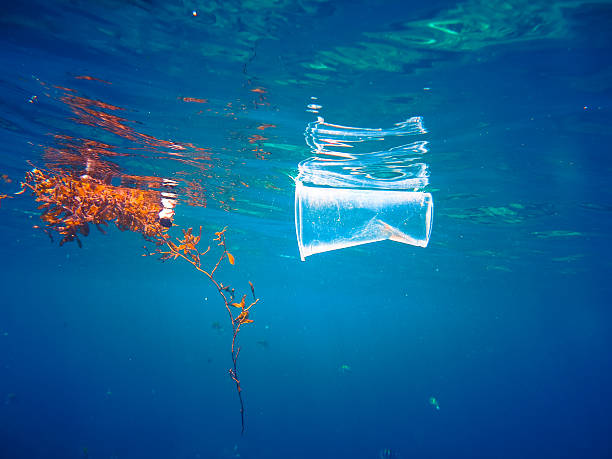 poluição do oceano plástico flutuando questão ambiental global - water pollution chemical garbage plastic - fotografias e filmes do acervo