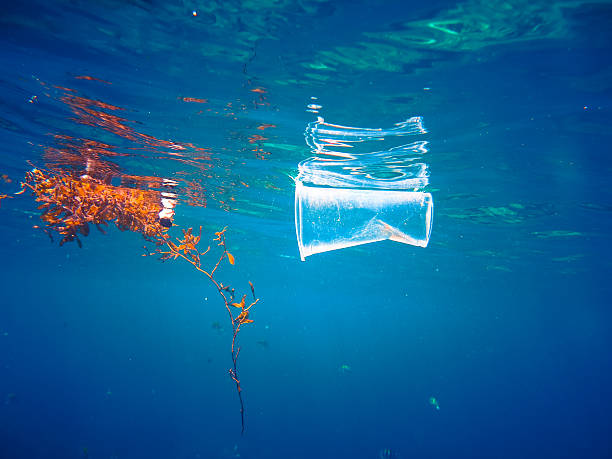 пластиковое загрязнение океана плавучий глобальный экологический вопрос - surface level water surface emotional stress water стоковые фото и изображения