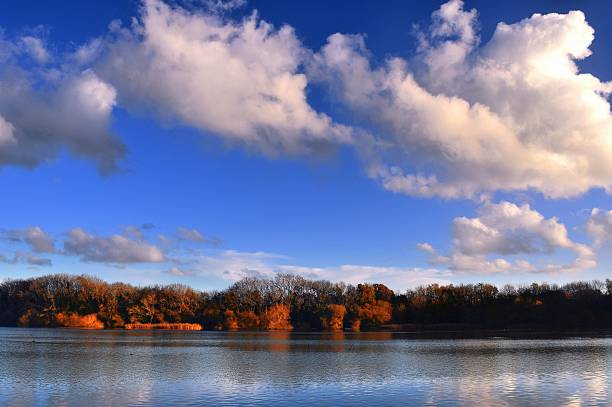 autumn in coate water - coate imagens e fotografias de stock