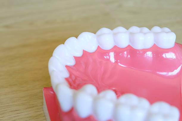 istock Model teeth whitening. Dental care. 620382718