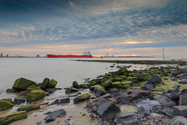 industriell genutztes schiff segeln auf die nieuwe waterweg fluss - nieuwe waterweg stock-fotos und bilder