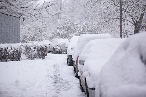 istock Parked cars covered with snow - snow storm 620385008