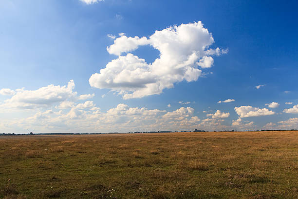 istock Beautiful yellow field and clouds sky 620386328