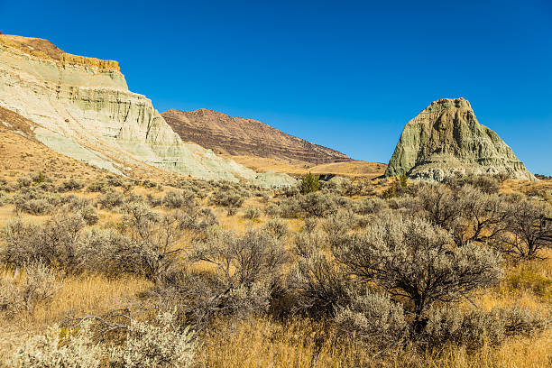istock Colorful blue rock. Unusual dry landscape. 620389616