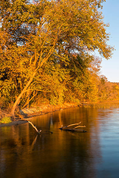 istock Lake Andrew In Autumn 620390962
