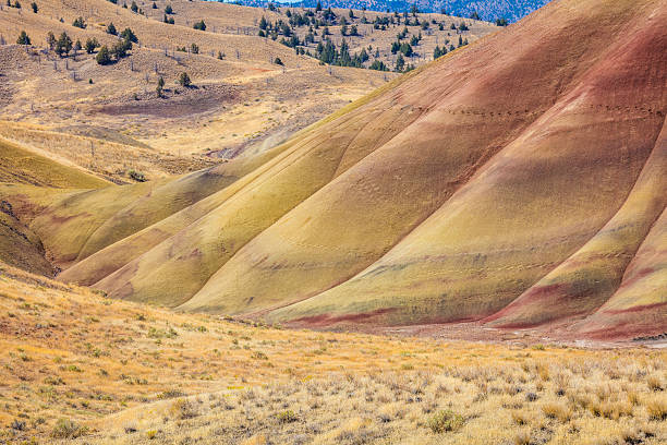 istock Colorful hills. The unusual landscape. Multi-colored layers 620391978
