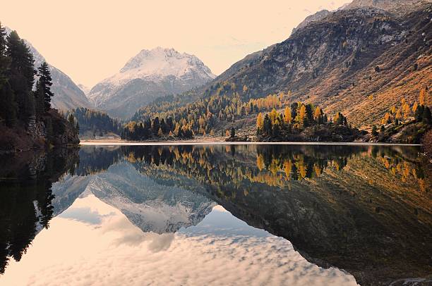autunno montagna lago reflection - engadine foto e immagini stock