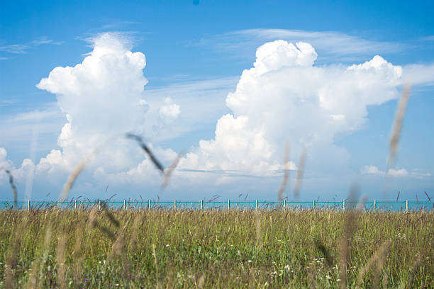 istock wild flowers, grassland, river and mountain 620397182