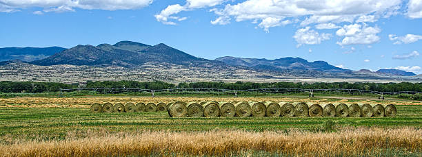 istock Hay Bales in the San Luis Valley 620398266