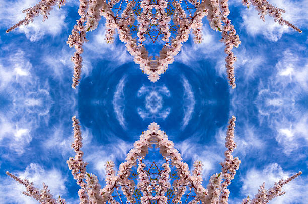 Kaleidoscopic pattern of sunny fruit flowers on blue sky background
