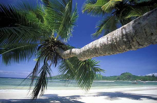 istock INDIAN OCEAN SEYCHELLES PRASLIN BEACH 620403178