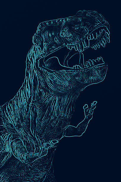 Tyrannosaurus Rex head.dinosaurs portrait Tyrannosaurus Rex head.dinosaurs portrait isolated on old black brick wall background.