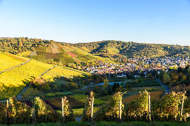 istock Vineyards at Stuttgart, Uhlbach at the Neckar Valley 620404364