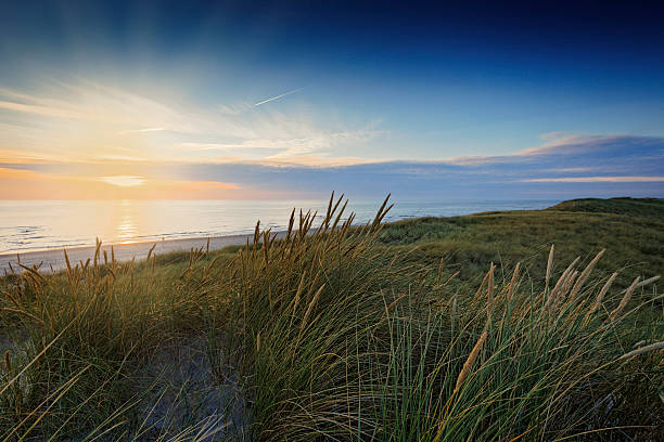 istock coastal scenery along the Dutch coast 620404772