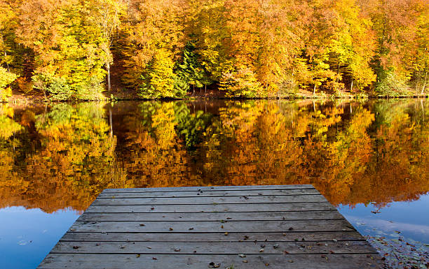 istock Autumnal trees reflection in the lake water. 620404966