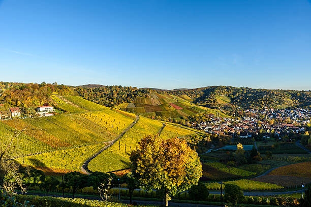 istock Vineyards at Stuttgart, Uhlbach at the Neckar Valley 620405274