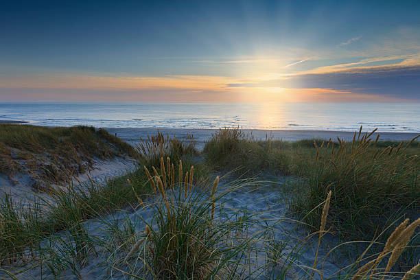 istock coastal scenery along the Dutch coast 620405286