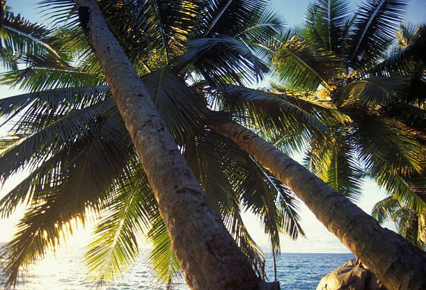istock INDIAN OCEAN SEYCHELLES PRASLIN BEACH 620405324