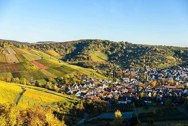 istock Vineyards at Stuttgart, Uhlbach at the Neckar Valley 620405592