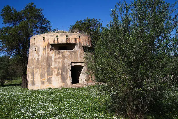 A tall concrete pillbox bunker from WW II set in a flowery field in Southeast Sicily (near Scicli, Ragusa Province). This is one of several in the area, used in 1943 by the Italians and Germans/Axis Forces to defend themselves from the Allied invasion of Sicily in 1943, specifically during Operation Husky.