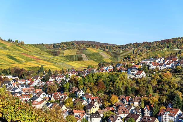 istock Vineyards at Stuttgart, Uhlbach at the Neckar Valley 620407094