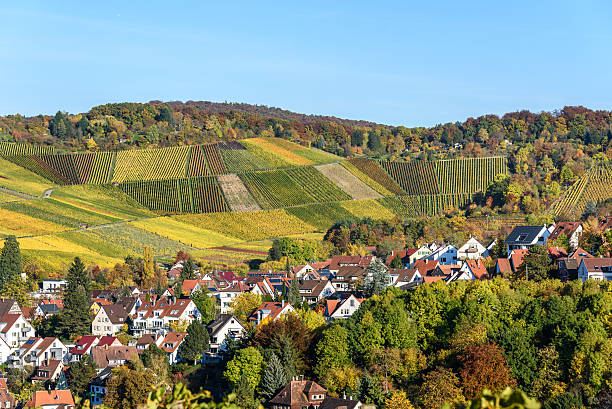 istock Vineyards at Stuttgart, Uhlbach at the Neckar Valley 620407792